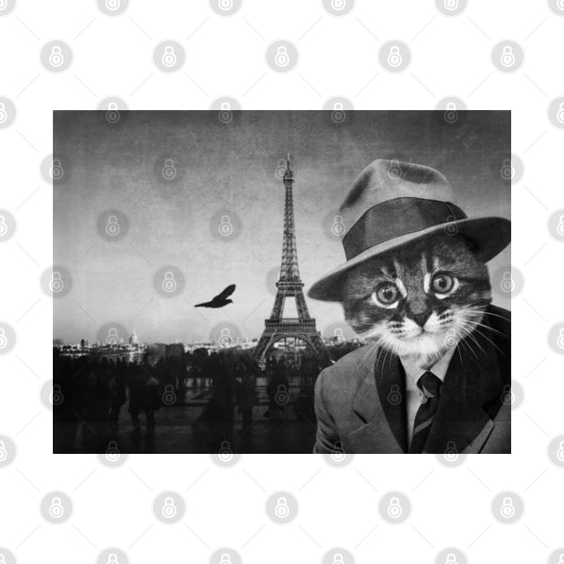 Gentleman Kitten in Paris by luigitarini