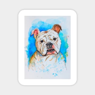 English Bulldog pet portrait watercolor painting Magnet