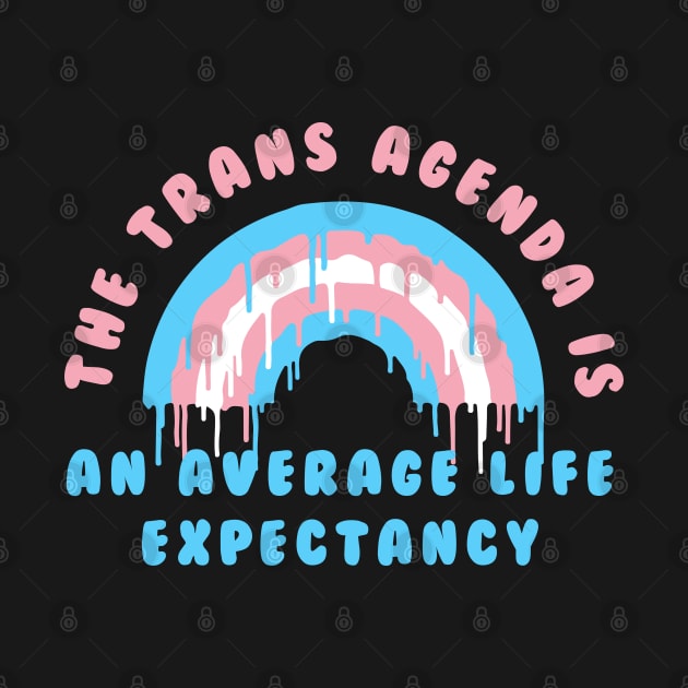 the trans agenda by remerasnerds