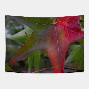 Changing autumn fall leaf Tapestry