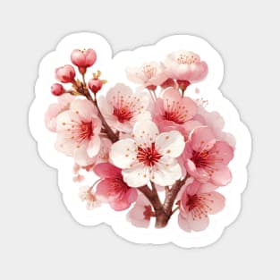 Spring Cherry Blossoms Magnet