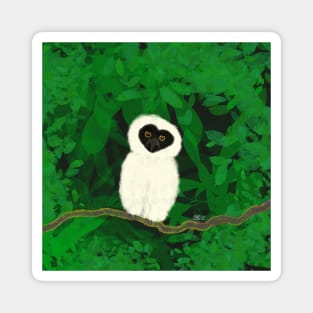 Spectacled owl baby Magnet