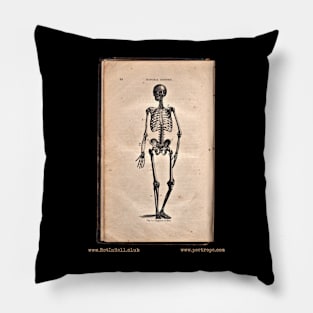 “HUMAN SKELETON” – HOOKER’S NATURAL HISTORY (1874) Pillow