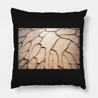 Cracked earth. Pillow