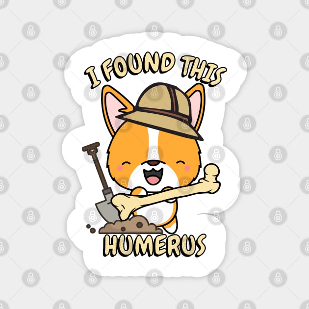 Funny corgi is an archaeologist Magnet by Pet Station