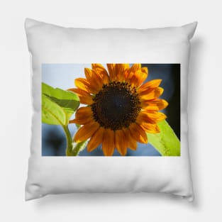 Sunflower Series VII Pillow