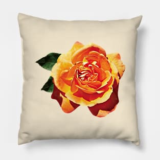 Orange Rose Pillow