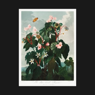 The Oblique-leaved Begonia T-Shirt