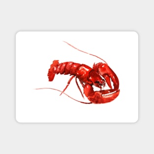 Red Lobster Magnet