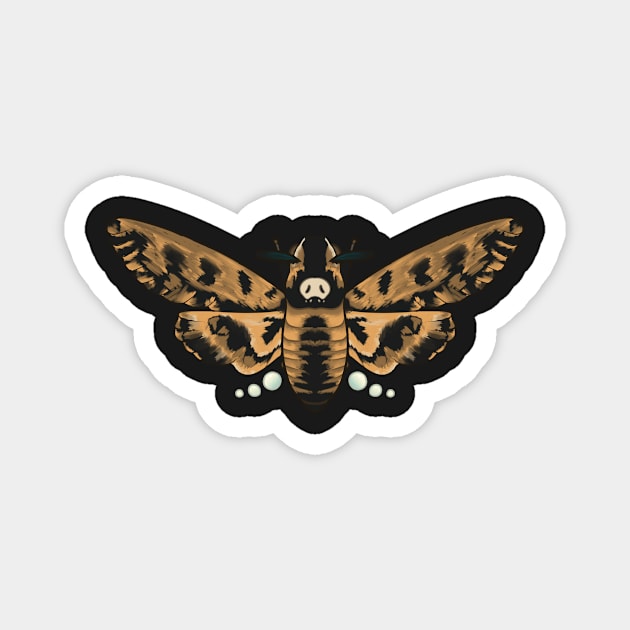 DEATH'S HEAD MOTH Magnet by laynemck