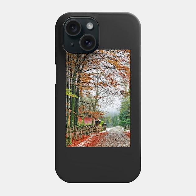 Street of Seasons. Phone Case by incredi