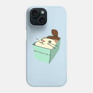 cat in a box Phone Case