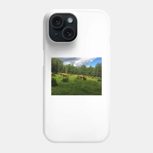 Scottish Highland Cattle Cows 2030 Phone Case