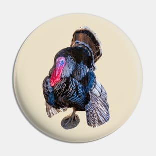 Tom Turkey show off Pin