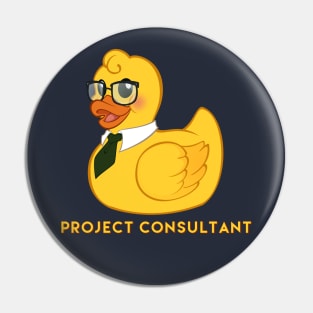 Project Consultant Pin