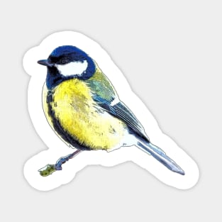 Great Tit Magnet