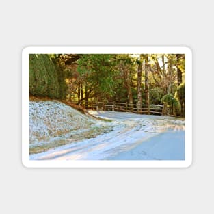 Snow-Covered Road Magnet