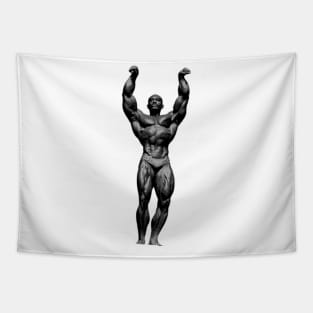 Oliva Victory Pose Tapestry