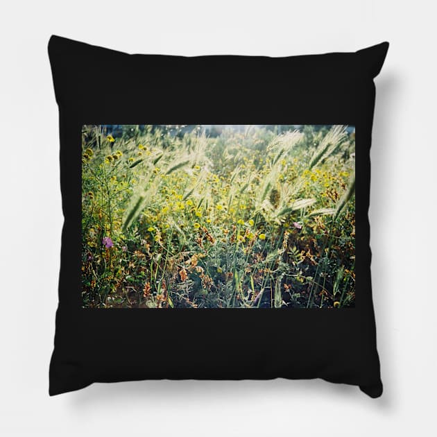 Green Spring Meadow Shot on Porta 400 Film Pillow by visualspectrum