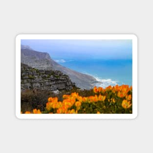 View from Table Mountain, Cape Town, South Africa Magnet