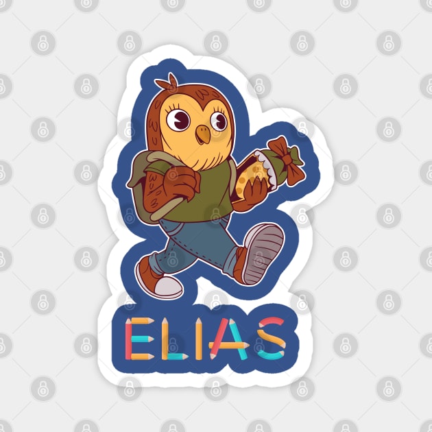 Enrollment Owl Elias Magnet by DePit DeSign