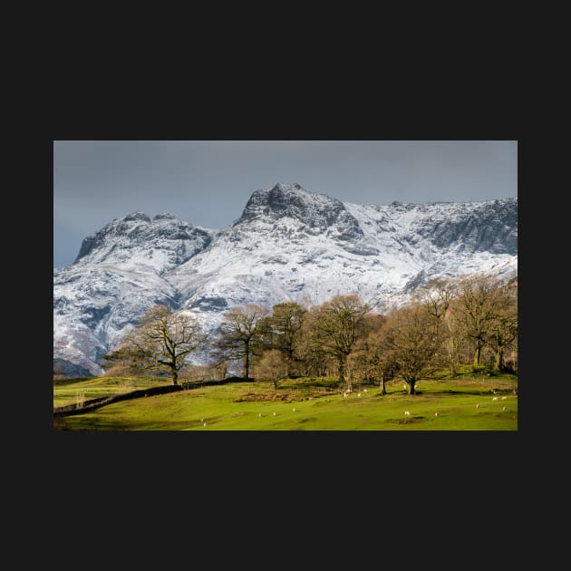 Winter on the Langdale Fells by jldunbar