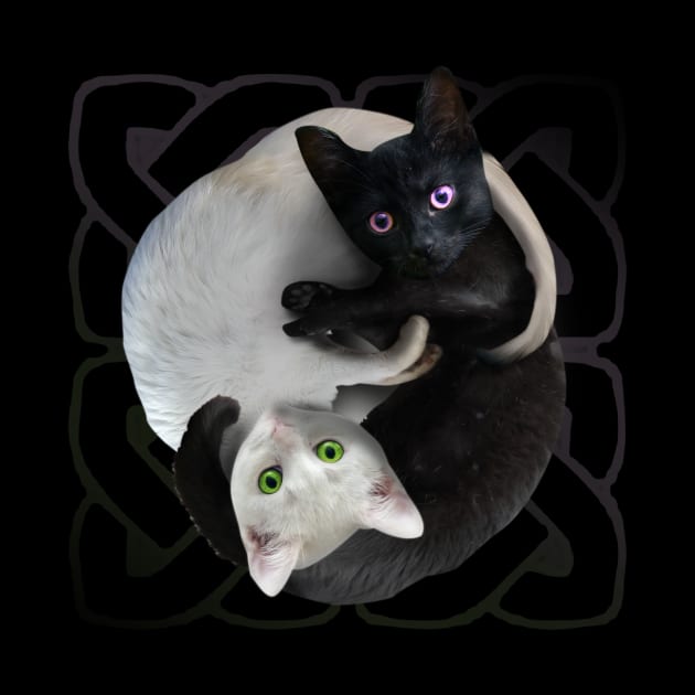 Yin Yang Cats by Random Galaxy