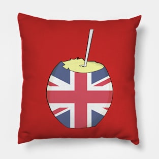 A British coconut Pillow