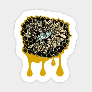 Queen bee on the dripping honeycomb beekeeper Magnet