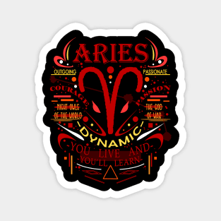 ARIES Magnet