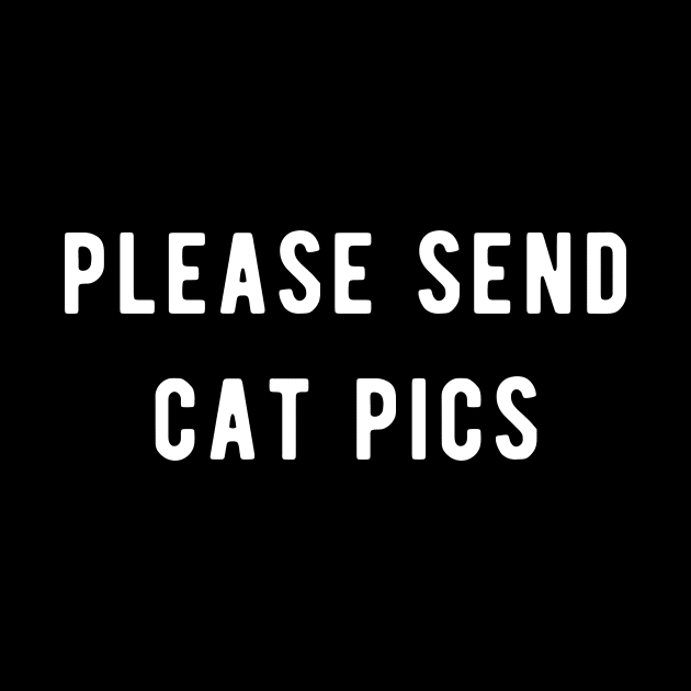 please send cat pics by Ramy Art