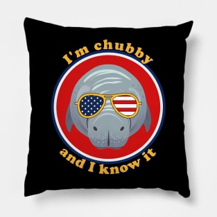 I am a patriot and i know it Pillow