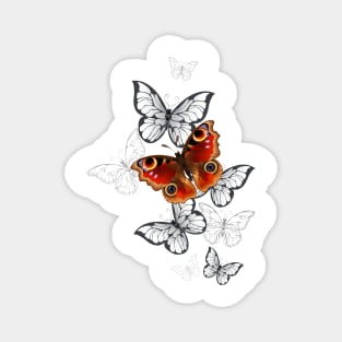 Peacock Butterfly Flight Magnet