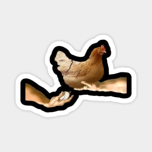 Michelangelo's hen Magnet