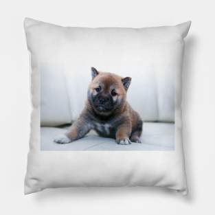 Why don't you take me home? Pillow