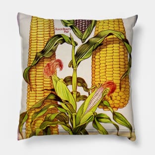 Illustration of corn from a seed Catalogue Pillow