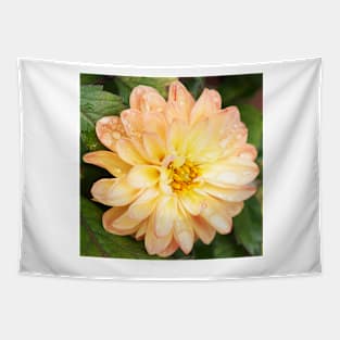 Dahlia Tapestry