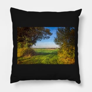 A Gap In The Hedgerow Pillow