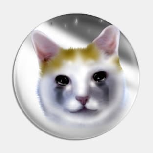 cat crying meme Pin