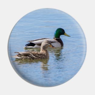 Mallards mates Pin