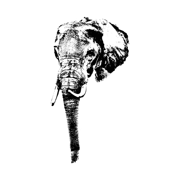 Elephant by Hujer