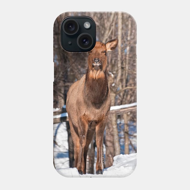 Elk Phone Case by jaydee1400