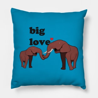 Big Love Pillow