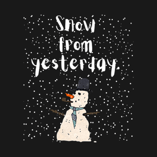 Snow From Yesterday T-Shirt