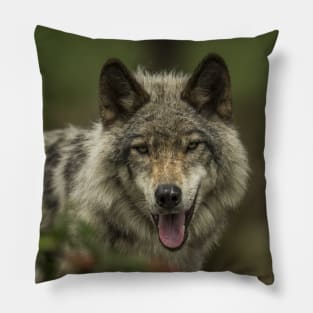 Timber Wolf Pillow