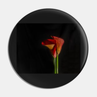 Calla on Black Pin