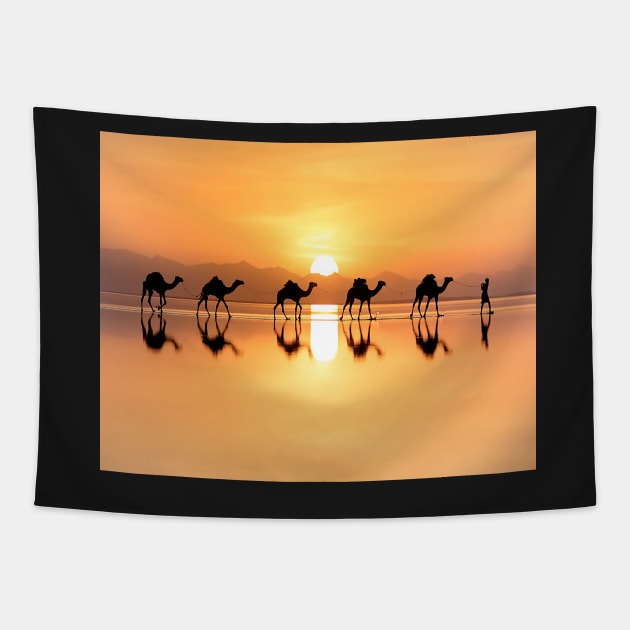 Travelling camels through desert sunset-nature Tapestry by NP-Pedia