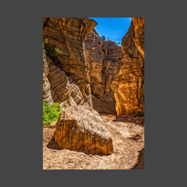 Lick Wash Trail Hike by Gestalt Imagery