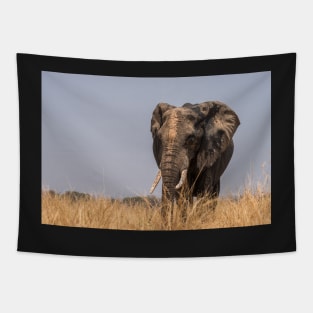 Self decorated Elephant Tapestry