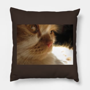 Closeup Cute Cat Side Profile Photography Pillow